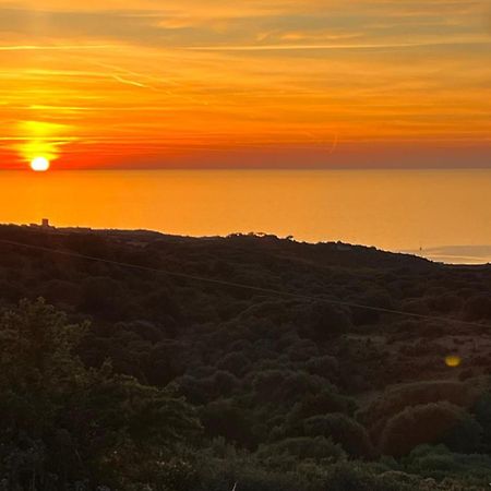 Isola Rossa Appartamenti Paduledda Zewnętrze zdjęcie