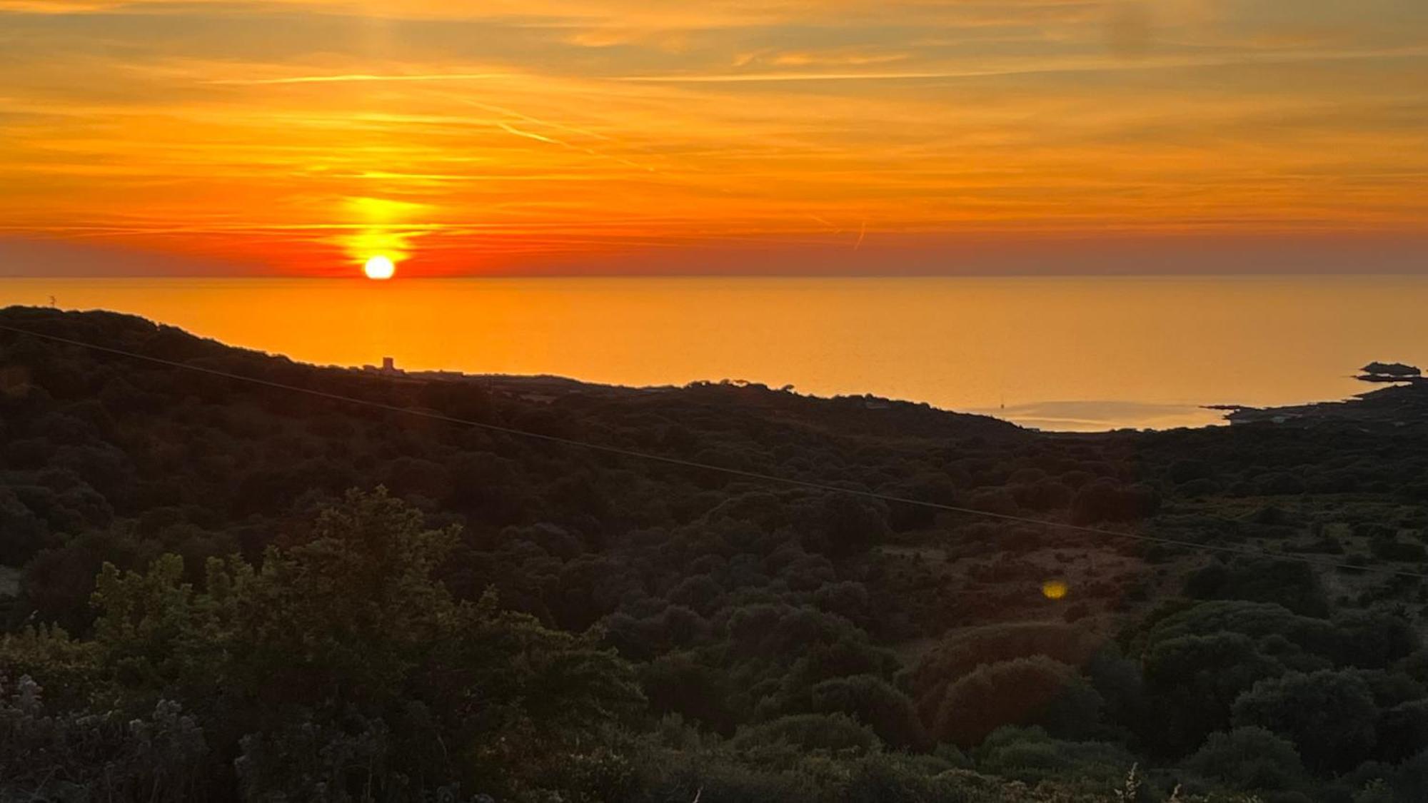 Isola Rossa Appartamenti Paduledda Zewnętrze zdjęcie