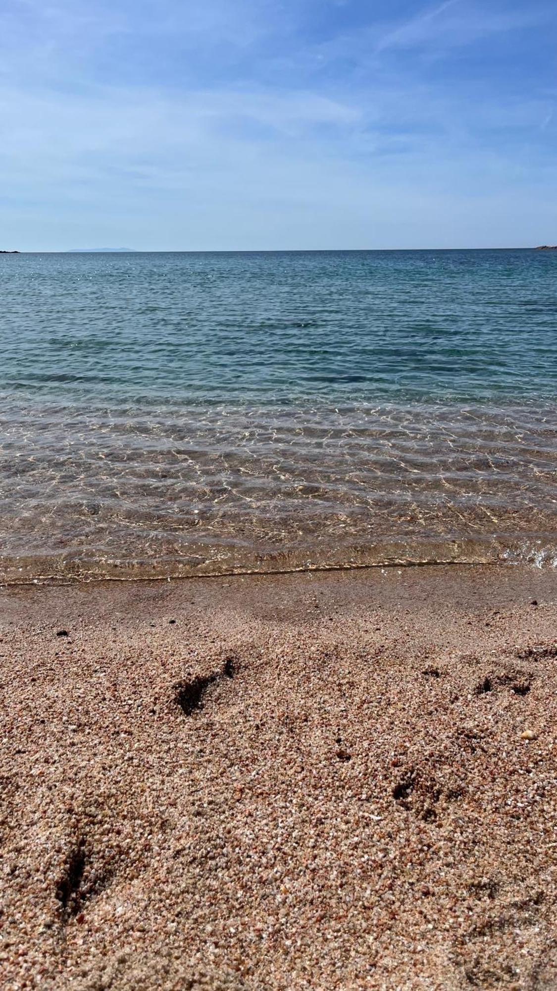 Isola Rossa Appartamenti Paduledda Zewnętrze zdjęcie